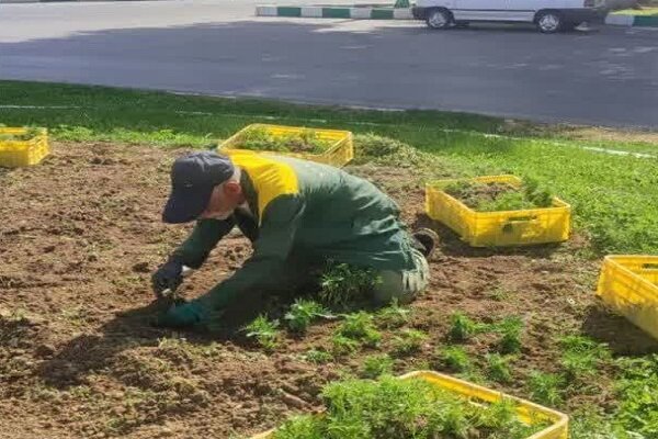 استمرار عملیات نگهداری و آبیاری فضاهای سبز شهرکرد