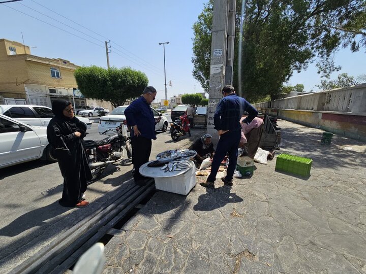 بلاتکلیفی بازار ماهی و میگوی دیر؛ دست‌فروشی غیربهداشتی زیر آفتاب سوزان