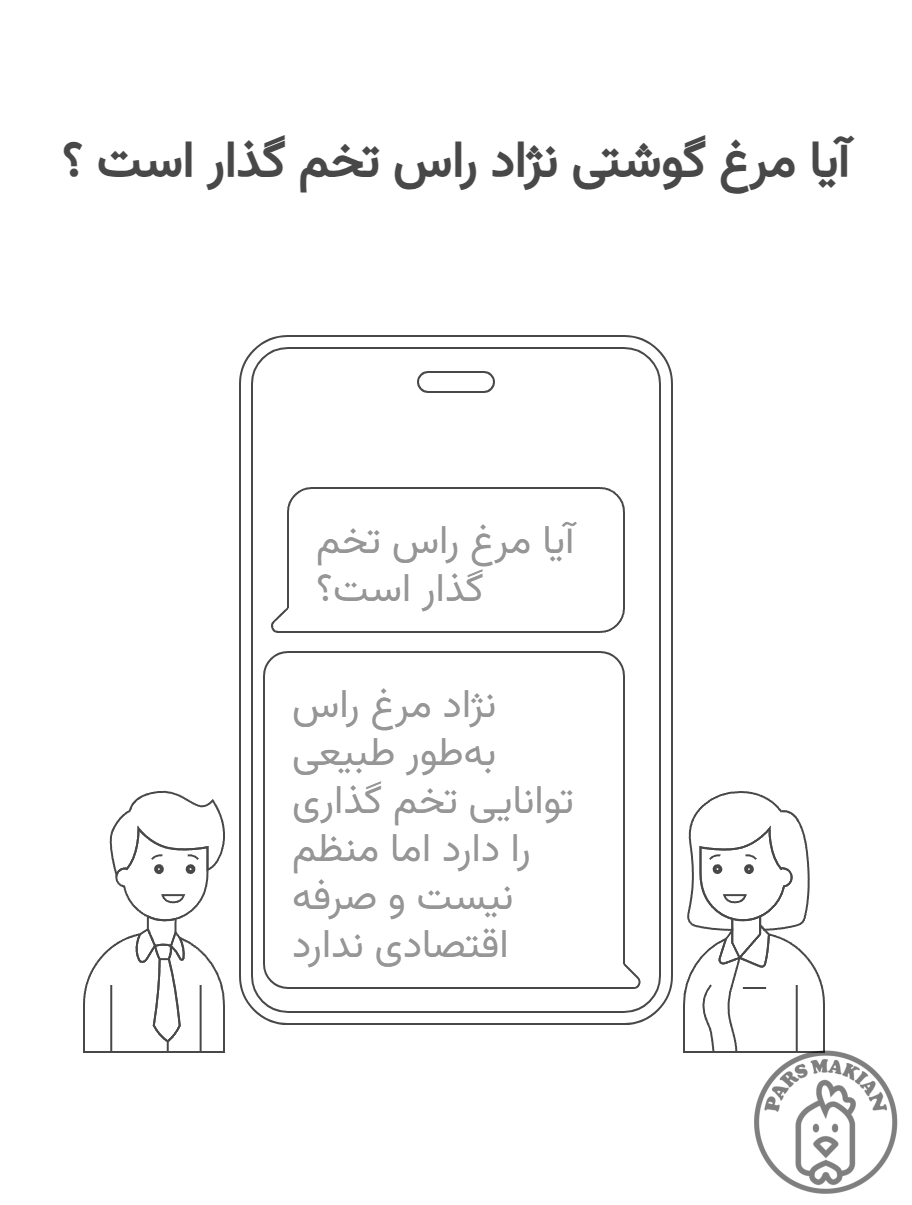 image6 - آیا مرغ راس تخم می‌گذارد؟ | بررسی کامل شرایط، سن تخم‌ گذاری و واقعیت‌های پرورش