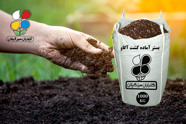 بستر امائه کشت گلباران سبز