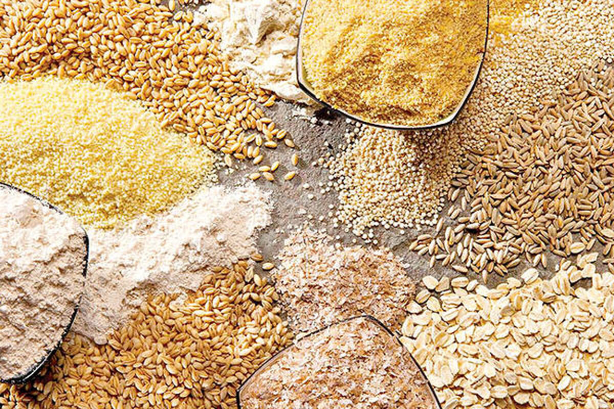 نگرانی برای واردات نهاده‌های دامی وجود ندارد