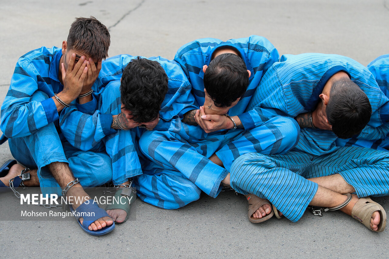 ۷۶ فقره سرقت در مازندران کشف شد