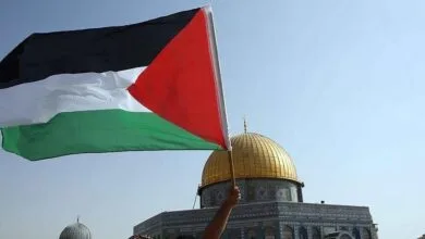 همسونیوز