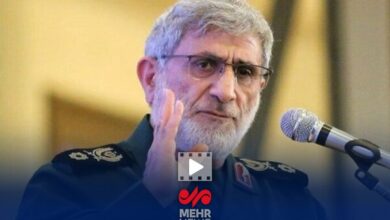 همسونیوز