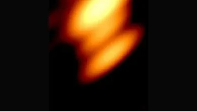 همسونیوز