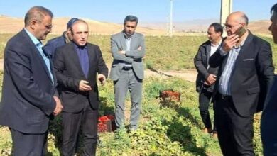 همسونیوز
