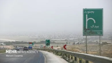 همسونیوز