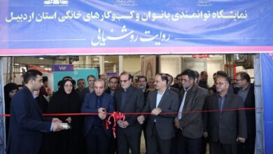 خلیلی: توانمندی‌های بانوان اردبیل در نمایشگاه روایت روشنایی معرفی شد