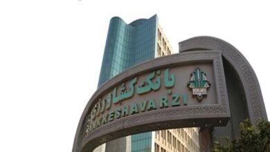 رشد ۷۰ درصدی تسهیلات پرداختی بانک کشاورزی برای خودکفایی گوشت قرمز