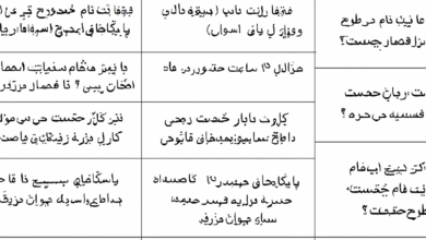 پرسش و پاسخ درباره طرح سرباز انصار