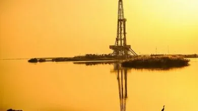 همسونیوز