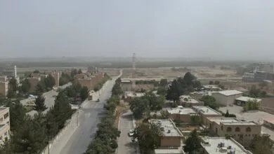 همسونیوز