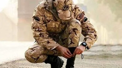 همسونیوز