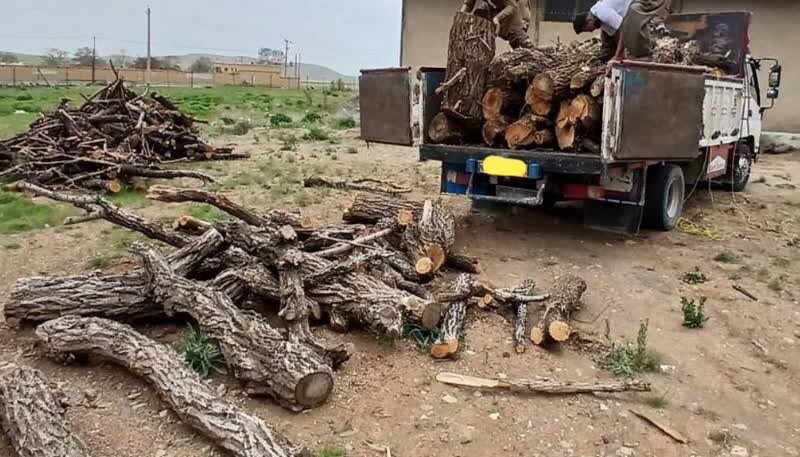 کشف محموله چوب قاچاق در قائم‌شهر؛ ۶ متهم دستگیر شدند