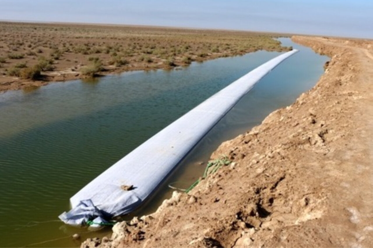 همسونیوز