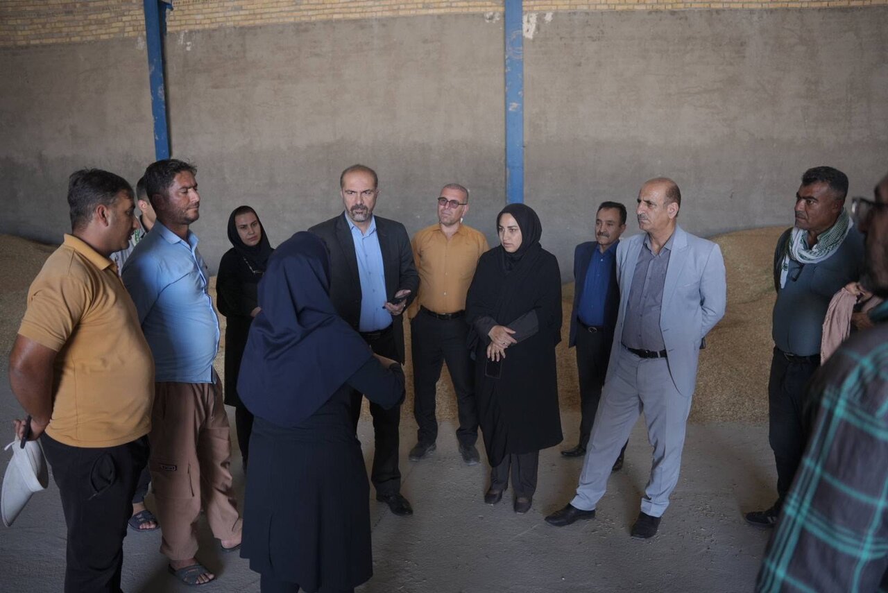 همسونیوز
