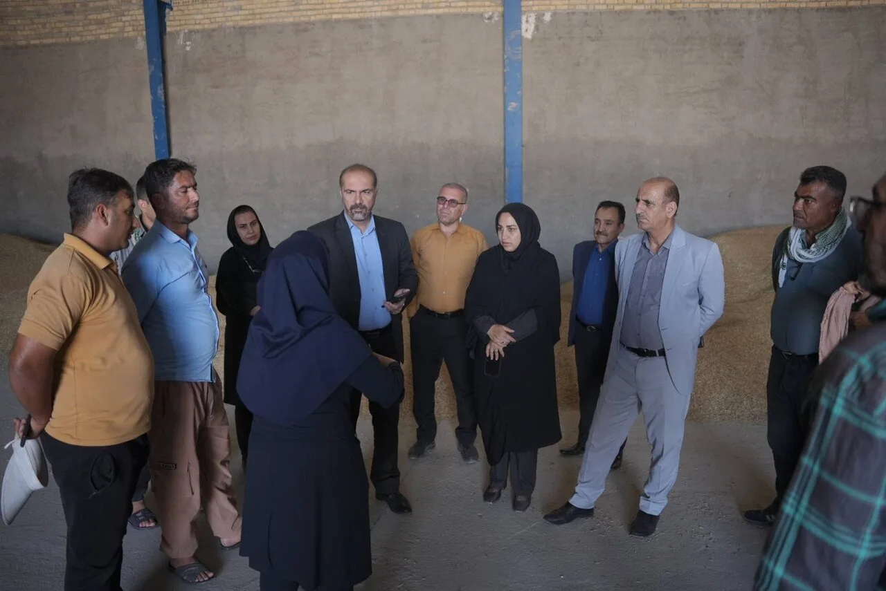 پیش بینی برداشت ۳۰ هزار تن گندم در شهرستان گچساران