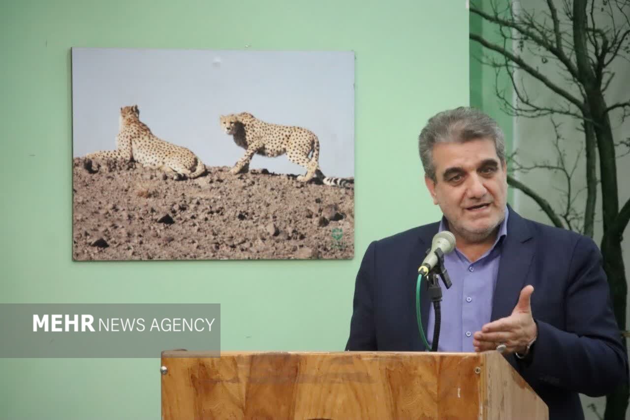 همسونیوز
