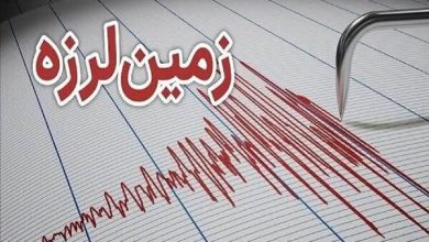 همسونیوز
