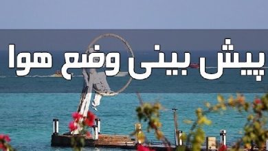 همسونیوز