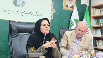 همسونیوز