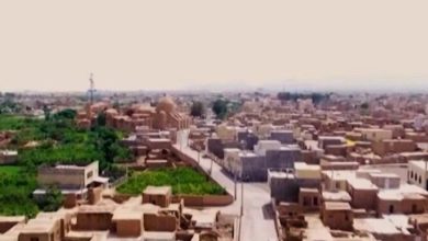 همسونیوز