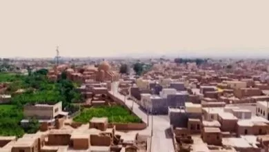 همسونیوز