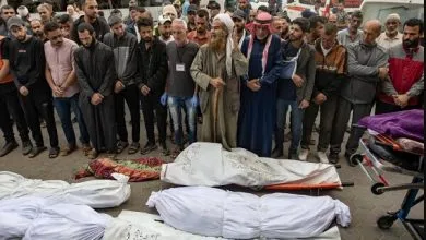 همسونیوز