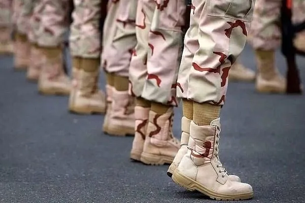 5653909.jpg