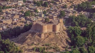 همسونیوز