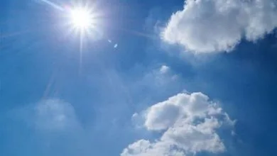 همسونیوز