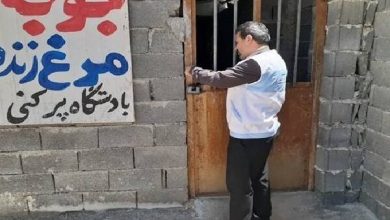 همسونیوز