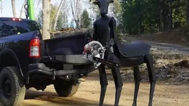 همسونیوز