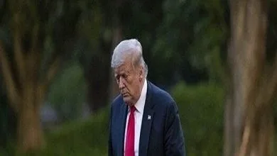 همسونیوز