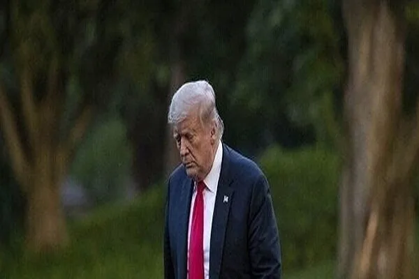 6129432.jpg
