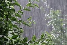 کاهش دمای هوا در راه است | بارشها از پنجشنبه در سواحل خزر آغاز میشود؛ کاهش دمای هوا در راه است | بارشها از پنجشنبه در سواحل خزر آغاز میشود؛