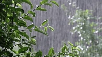 کاهش دمای هوا در راه است | بارش‌ها از پنجشنبه در سواحل خزر آغاز می‌شود؛