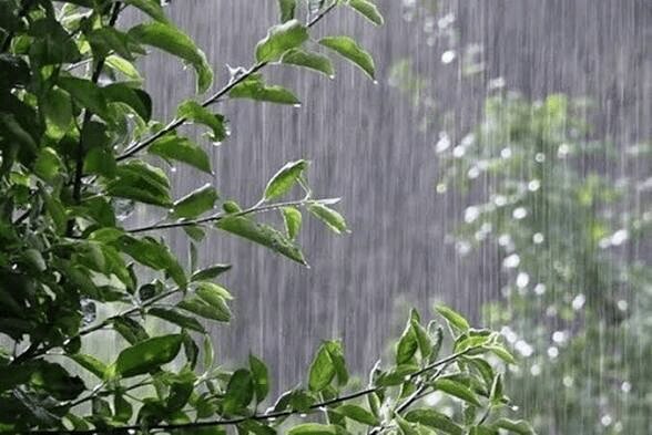 کاهش دمای هوا در راه است | بارشها از پنجشنبه در سواحل خزر آغاز میشود؛ کاهش دمای هوا در راه است | بارشها از پنجشنبه در سواحل خزر آغاز میشود؛