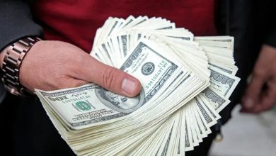 آزمون صندوق سرمایه گذاری ارزی | صندوق ارزی چطور کار می کند؟
